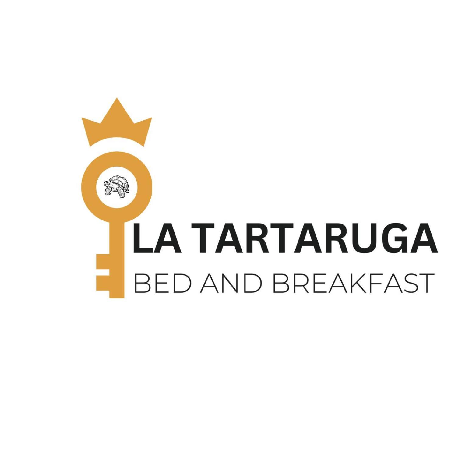 La Tartaruga Siena
